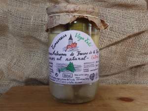 puerro sahagun navarra