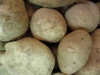 patatas blancas